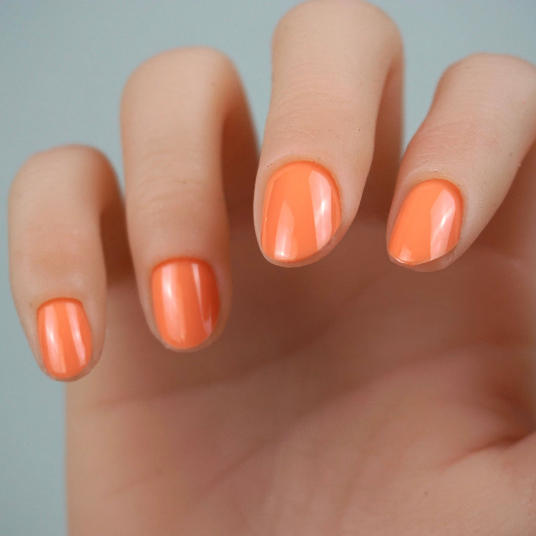 coral dream