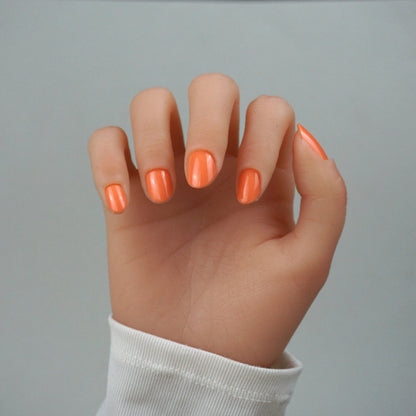 Coral dream