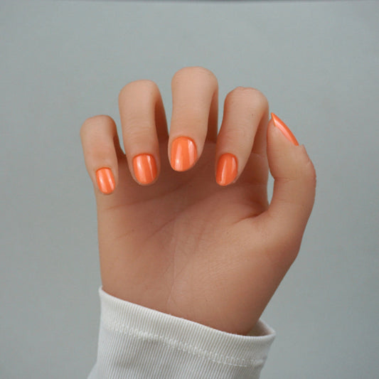 Coral dream