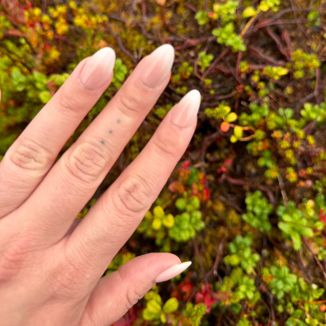 Pink Ombre Almond løsnegler 